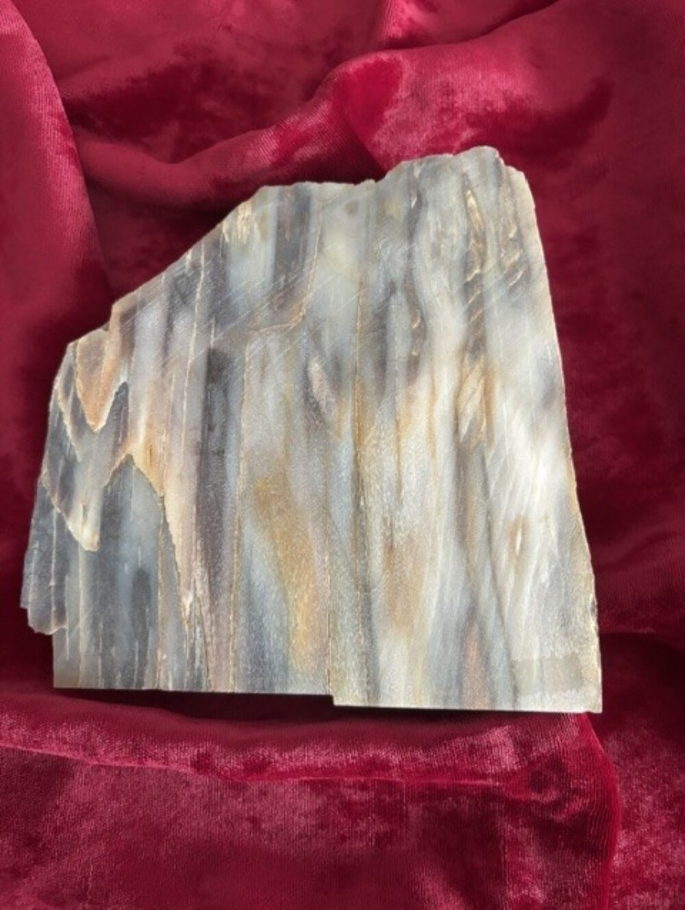 Petrified Wood